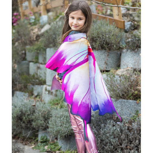 Ombre Butterfly Soft Wings