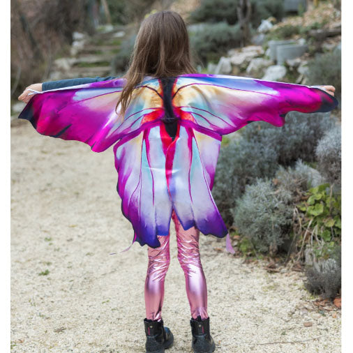 Ombre Butterfly Soft Wings