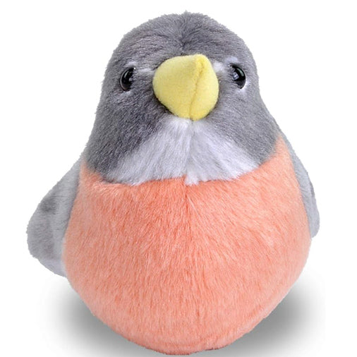 Audubon Birds American Robin with Authentic Bird Sound