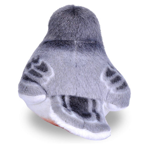 Audubon Birds American Robin with Authentic Bird Sound