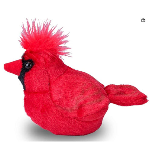 Audubon Birds Northern Cardinal with Authentic Bird Sound