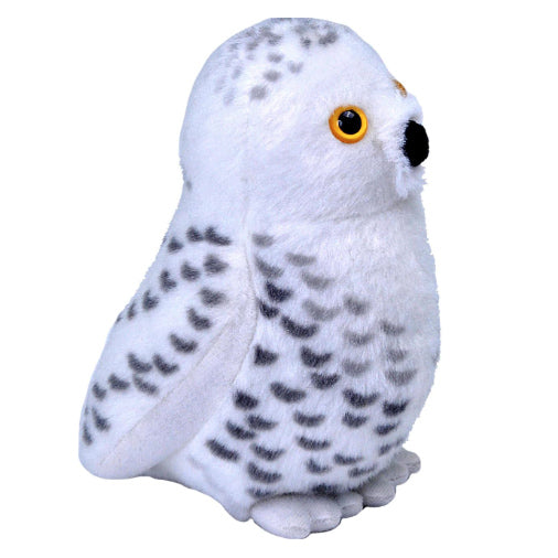 Audubon Birds Snowy Owl with Authentic Bird Sound