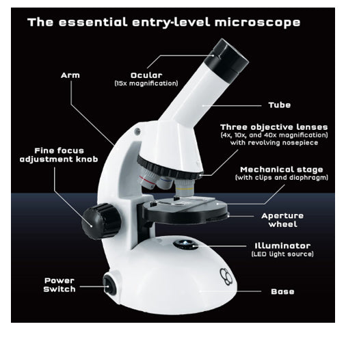 Microscope