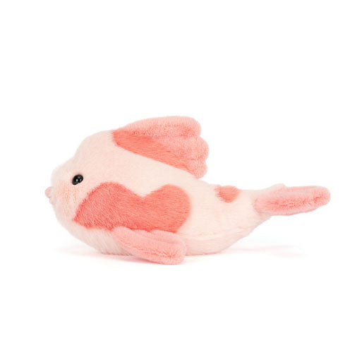 Fancy Carp