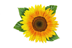 Madd Capp Games - I am Sunflower Puzzle