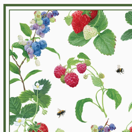 Berries Paper Placemats, Set of 20
