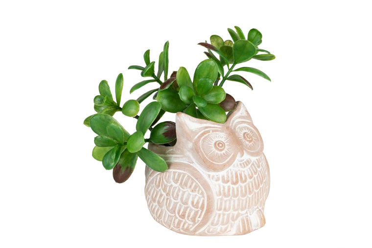 Petite Owl Planter - Ten Thousand Villages