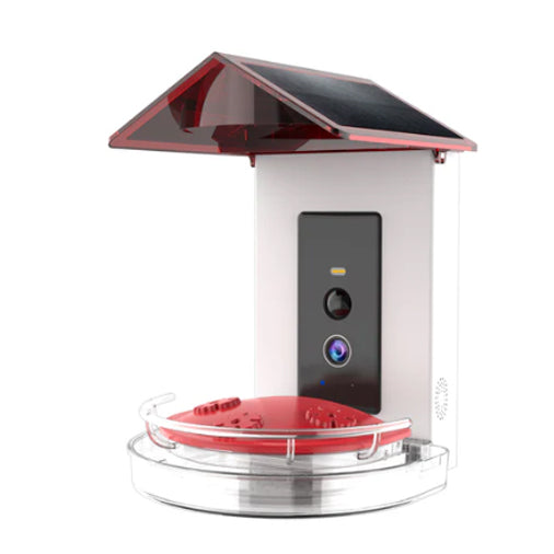 BirdReel Smart Hummingbird Feeder
