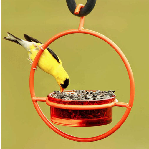 Humble Bold Bird Feeder, Orange
