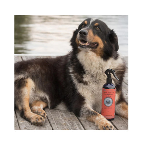 Bug Repellent Spray For Dogs