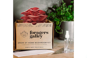 Forager's Gallery Grow At Home Mushroom Kit - Pink Oyster
