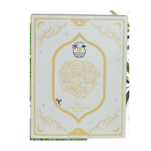 Golden Oyster Mushroom Grow Kit