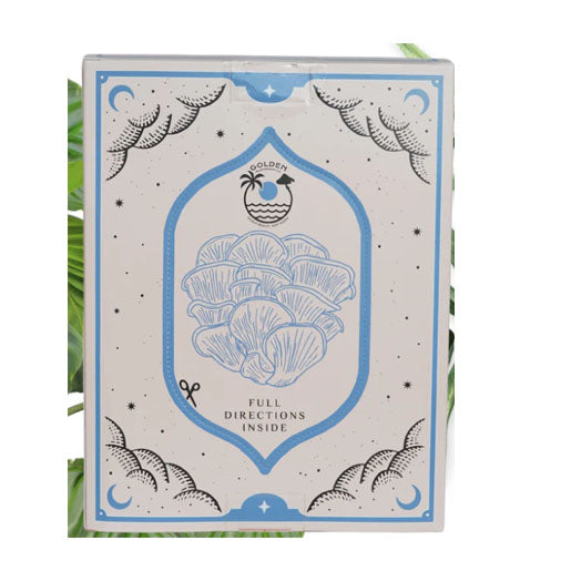 Blue Oyster Mushroom Kit