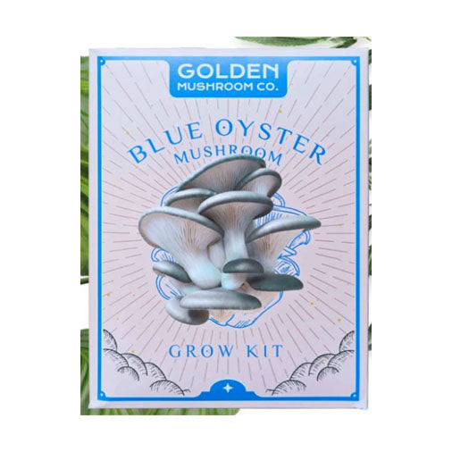 Blue Oyster Mushroom Kit