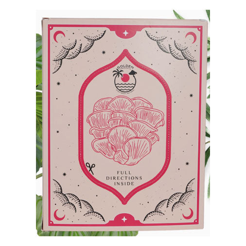 Pink Oyster Mushroom Kit