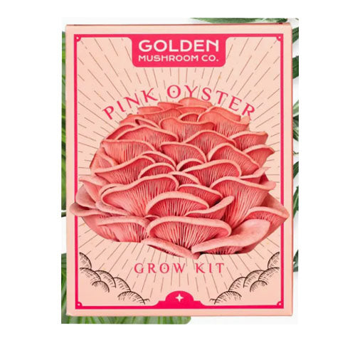 Pink Oyster Mushroom Kit