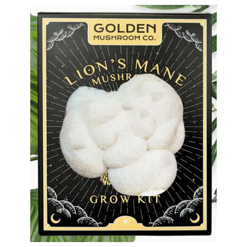 Lion's Mane Mushroom Grow Kit