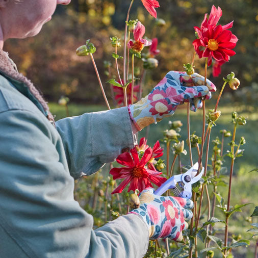 Heirloom Garden Weeder Gloves, Medium