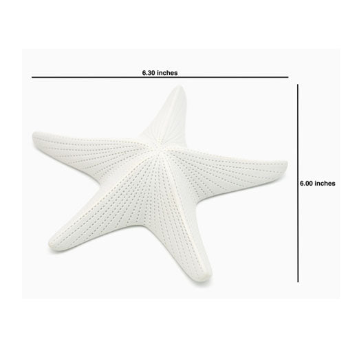 Porcelain Ceramic Starfish, White