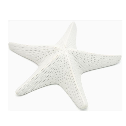 Porcelain Ceramic Starfish, White