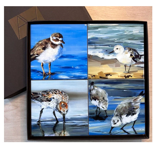 Art by Alyssa -Shorebirds Coasters