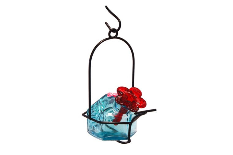 Par-a-Sol - Hummingbird Feeder - Aqua Single Lunch Pail