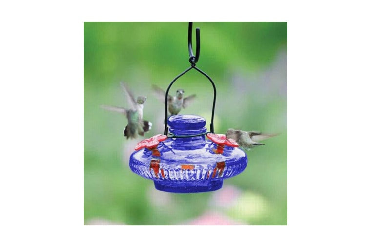 Par-a-Sol - Bloom Hummingbird Feeder - Blue