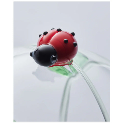 Glass Globe - Wildlife Collection - Ladybird