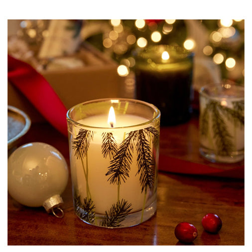 Thymes - Frasier Fir - Poured Candle