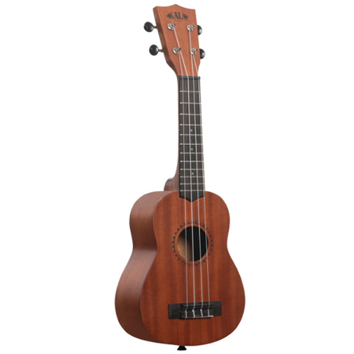 Learn To Play Ukulele Starter Kit