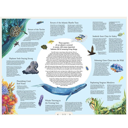 Wild Seas 1000 Piece Puzzle