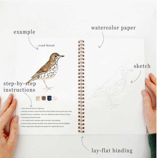 Birds Watercolor Workbook