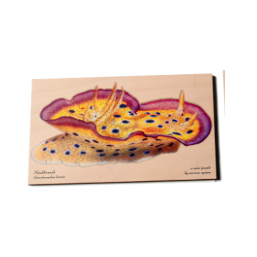 Nervous System Mini Nudibranch 44- Piece Puzzle