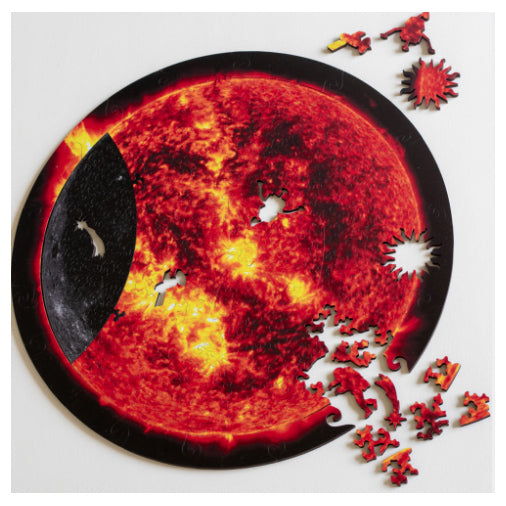 Nervous System Eclipse 248- Piece Puzzle