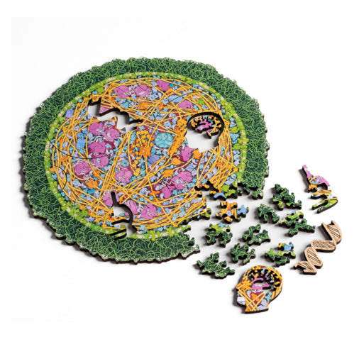 Mycoplasma 134 pc