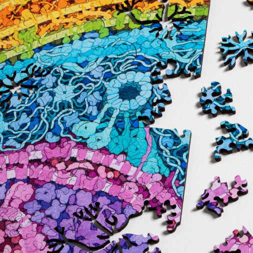 Nervous System Neuron 423-Piece Puzzle