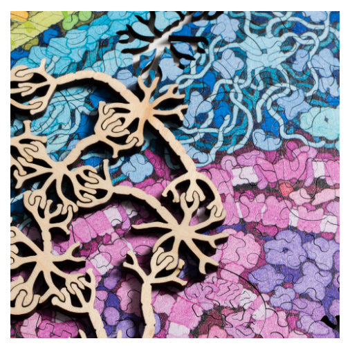 Nervous System Neuron 423-Piece Puzzle