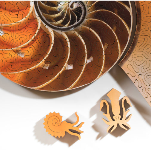 Nervous System Nautilus 306-Piece Puzzle