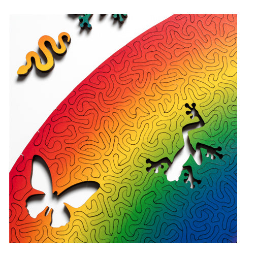 Nervous System Rainbow 380-Piece Puzzle