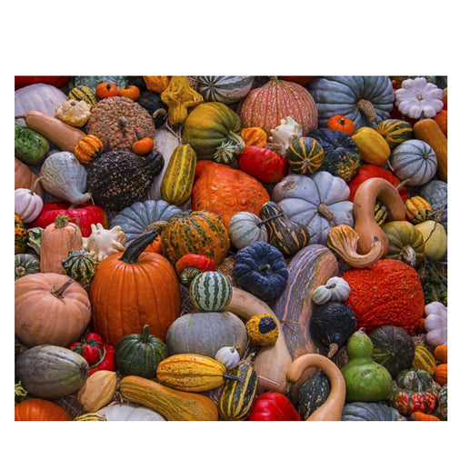 Autumn Harvest Jigsaw Puzzle 1000 Piece