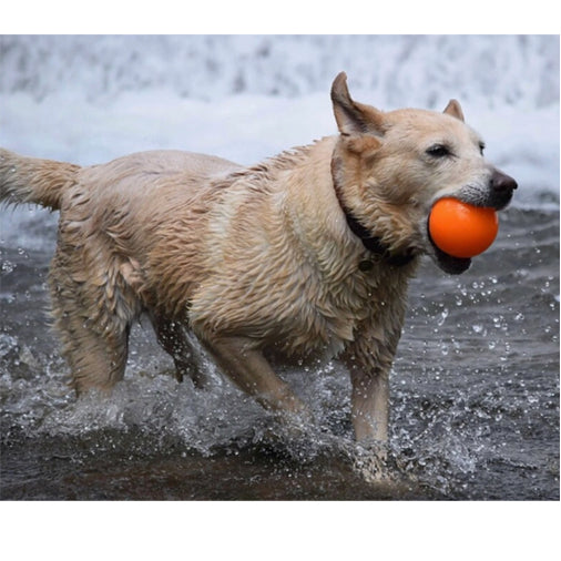 Fetch and Glow Ball large