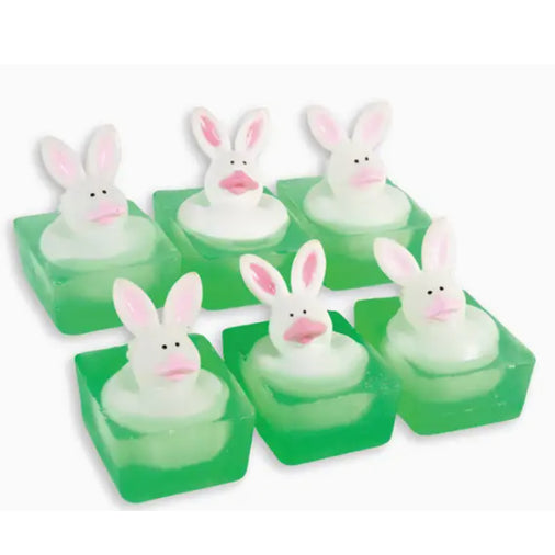 Rubber Ducky Soap, assorted