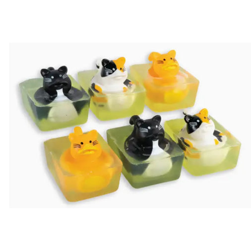 Rubber Ducky Soap, assorted