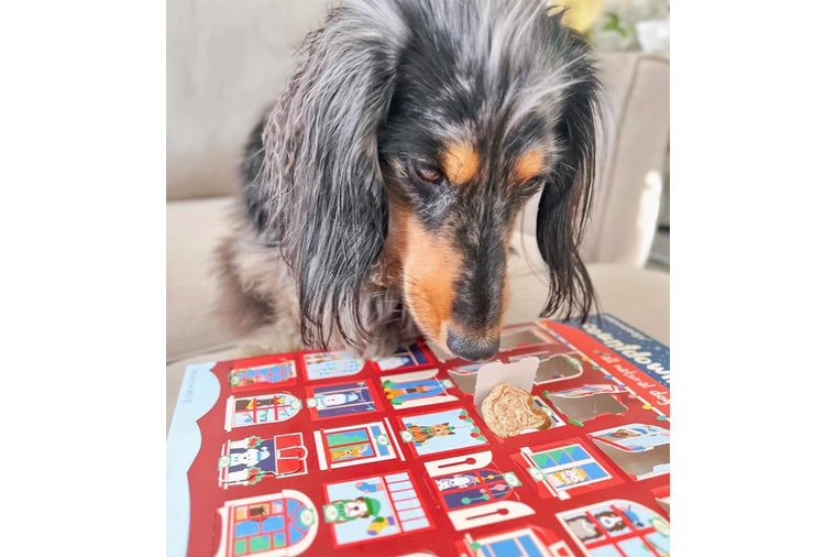 Dog Treat Advent Calendar