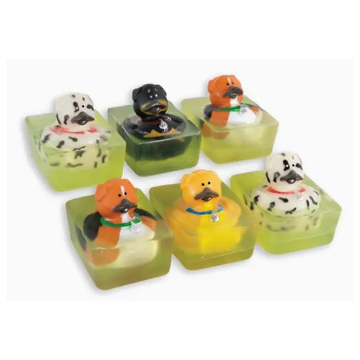 Rubber Ducky Soap, assorted