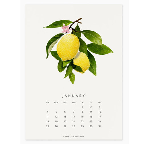 2026 Felix Doolittle Fresh Fruit Desk Calendar