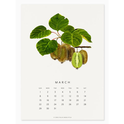 2026 Felix Doolittle Fresh Fruit Desk Calendar