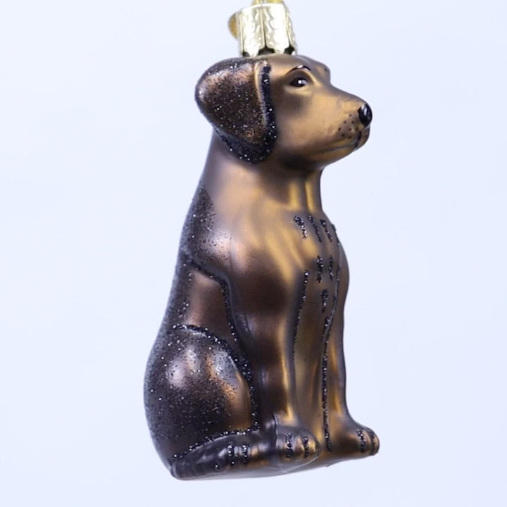 Old World Christmas - Chocolate Labrador Ornament