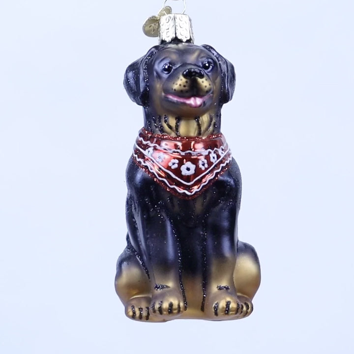 Old World Christmas - Rottweiler Ornament