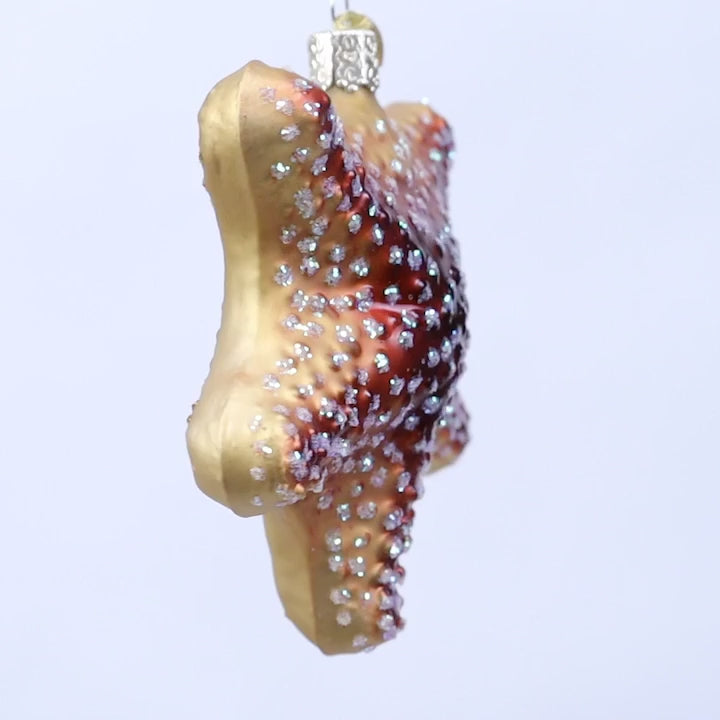 Old World Christmas - Red Starfish Ornament